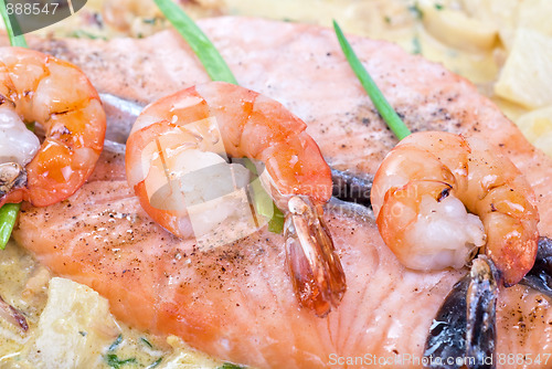 Image of Salmon fish and seafood