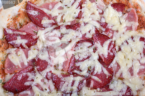 Image of Salami pizza closeup