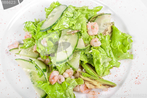 Image of shrimp salad