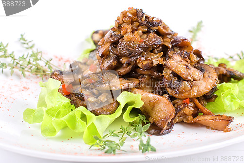 Image of Roasted mushrooms assortment