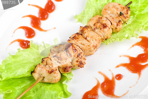Image of Grilled chicken meat closeup