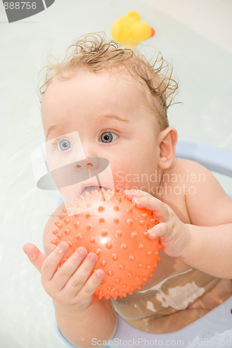 Image of bathing