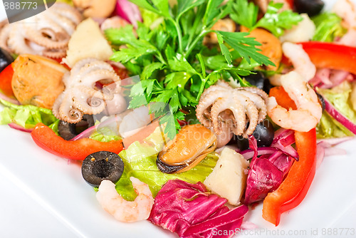 Image of Seafood salad
