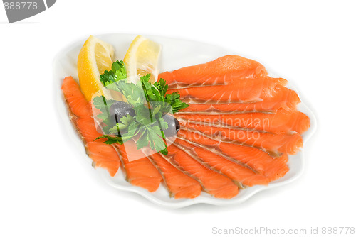 Image of Salmon