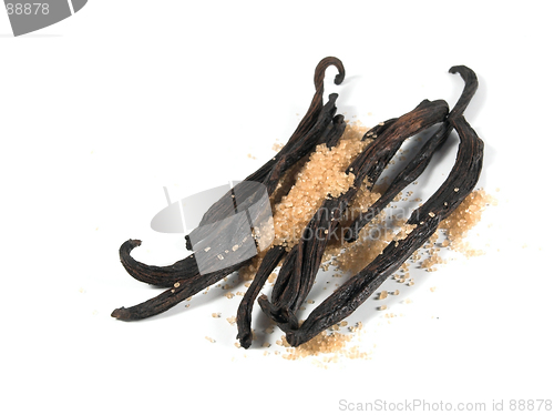 Image of vanilla sugar