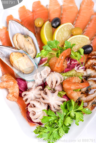 Image of Seafood salad