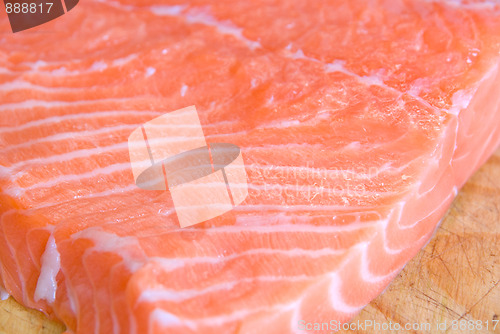 Image of salmon closeup