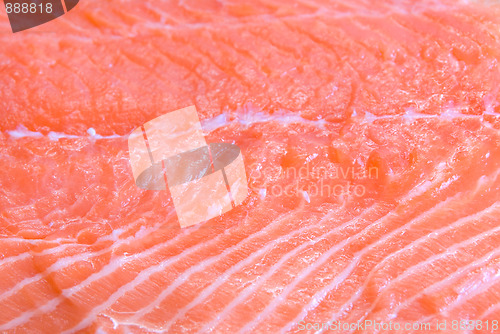 Image of salmon closeup