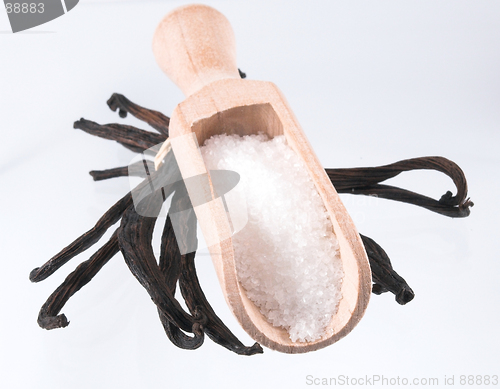 Image of vanilla sugar