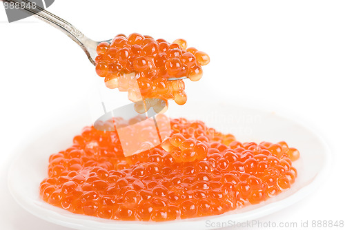 Image of red caviar