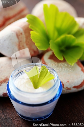 Image of ginko moisturizer