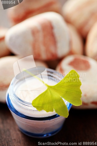 Image of ginko moisturizer