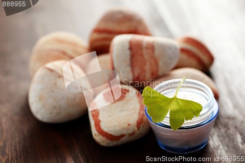 Image of ginko moisturizer