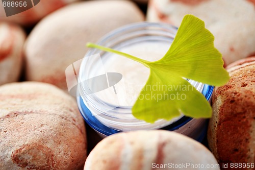 Image of ginko moisturizer