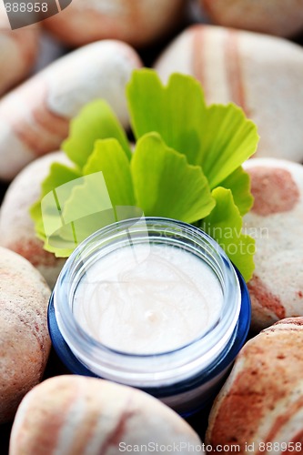 Image of ginko moisturizer