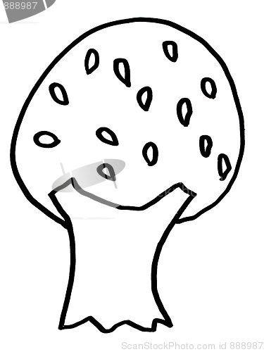 Image of tree