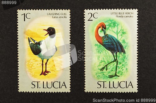 Image of Birds stamps