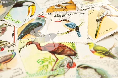 Image of Birds stamps