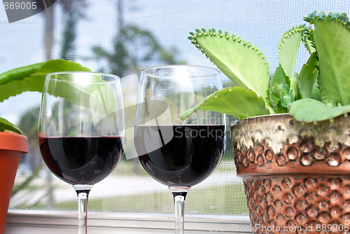 Image of tropical wine vacation