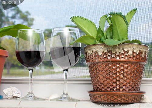 Image of wine and plant