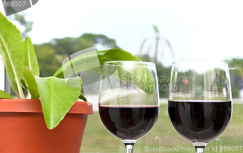 Image of wine in the tropics