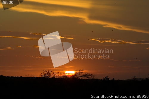 Image of African Sunset