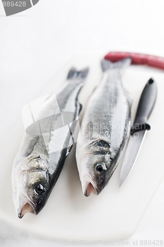 Image of Bass