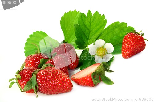 Image of Strawberries