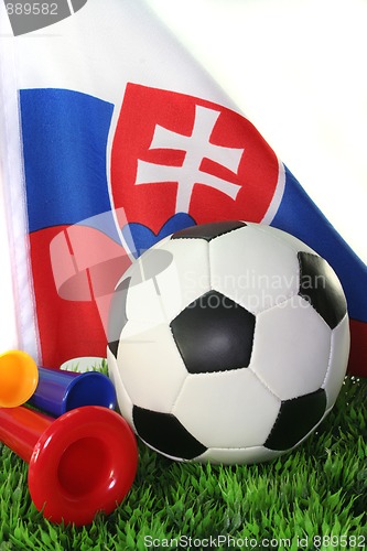 Image of World Cup 2010