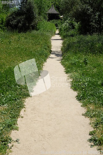 Image of Foliage-lined path