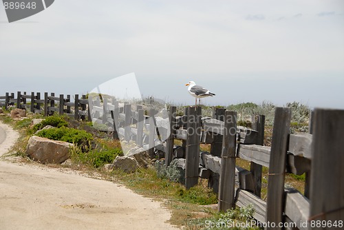 Image of Fence