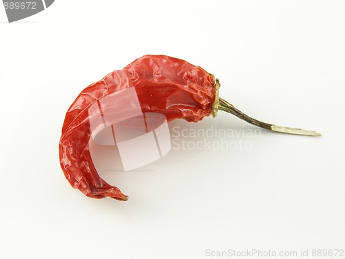 Image of Aji pepper