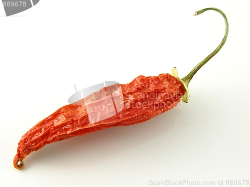 Image of Aji pepper