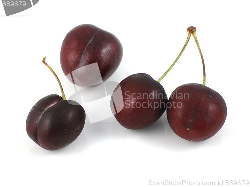 Image of Cherries