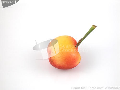 Image of Cherry