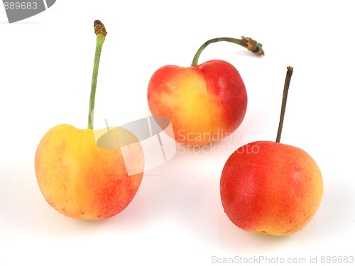 Image of Cherries