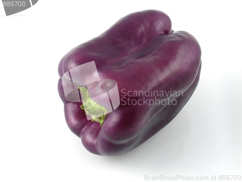 Image of Pepper