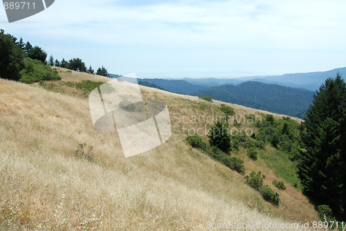 Image of Viewpoint