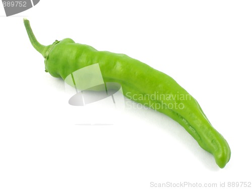 Image of Pepper