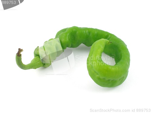 Image of Pepper