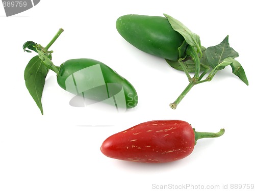 Image of Red & green jalapeno peppers