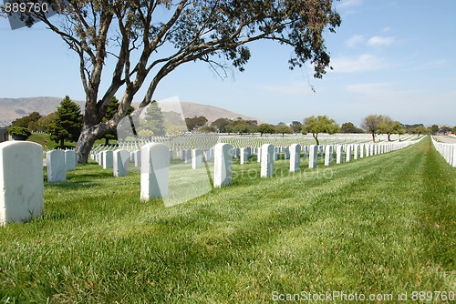 Image of Military cemetery