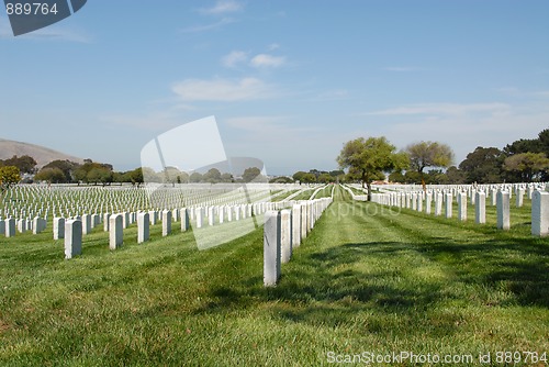 Image of Military cemetery