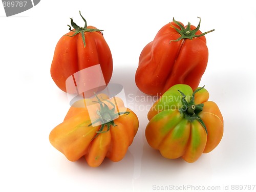 Image of Tomatoes