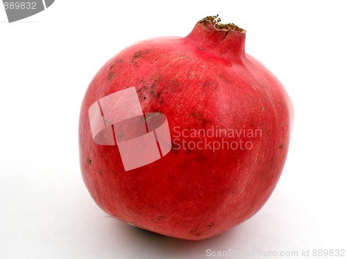 Image of Pomegranate