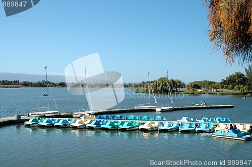 Image of Paddle boats