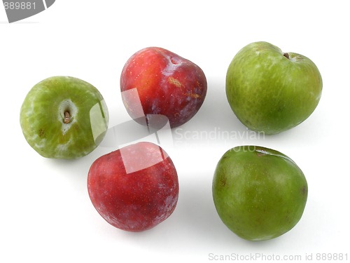 Image of Plums