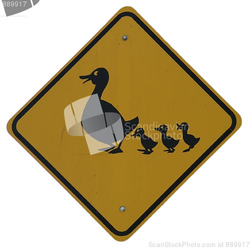 Image of Duck Crossing