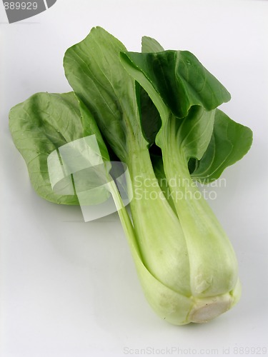 Image of Bok choi