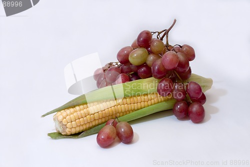 Image of corn ear and bunch of grapes